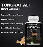 Tongkat Ali Extract Best Brand